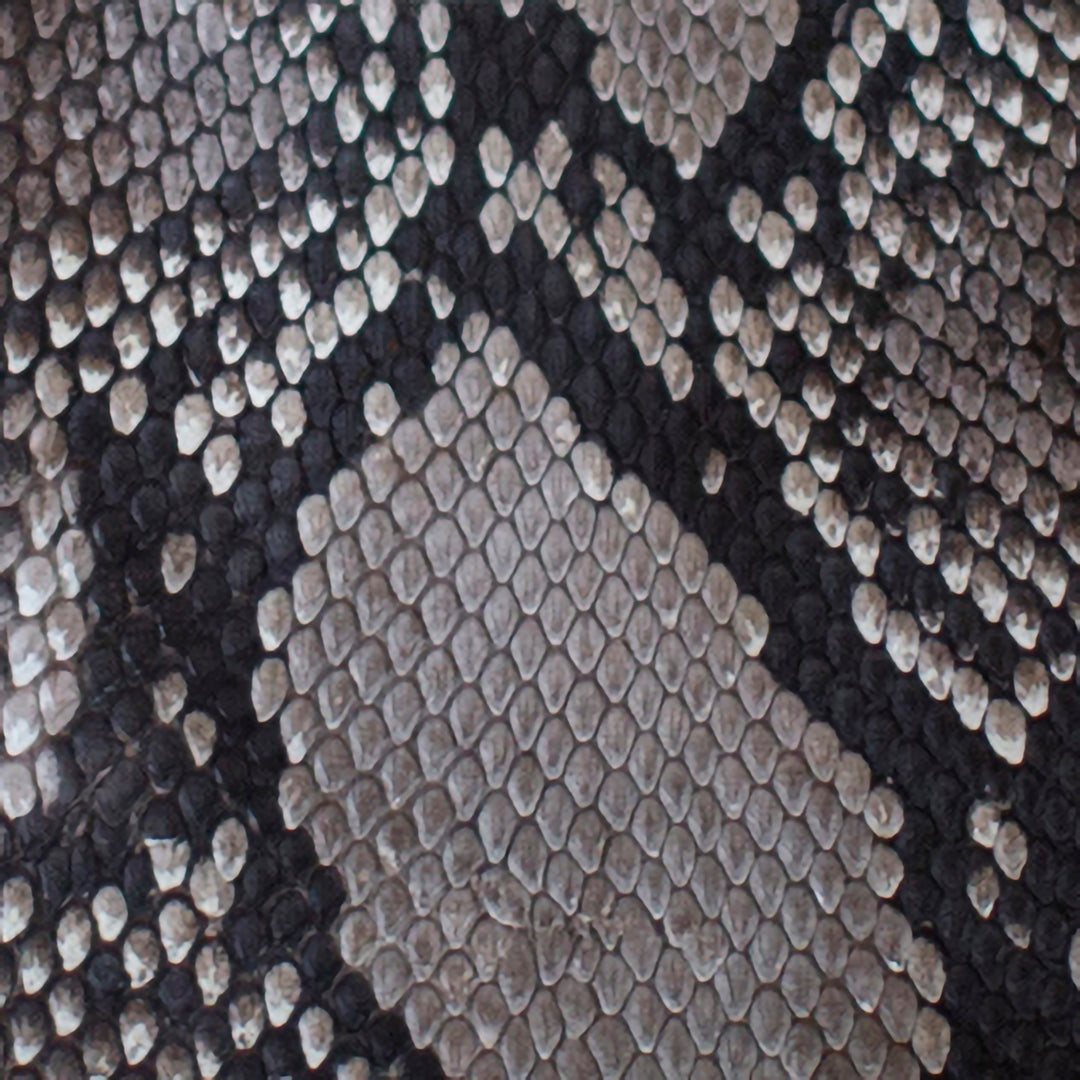 Black and White Python