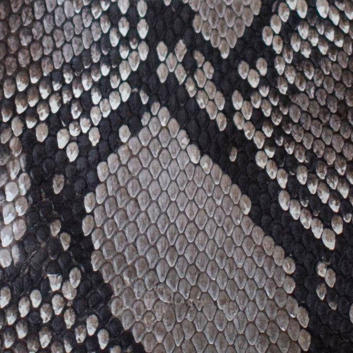 Black and White Python