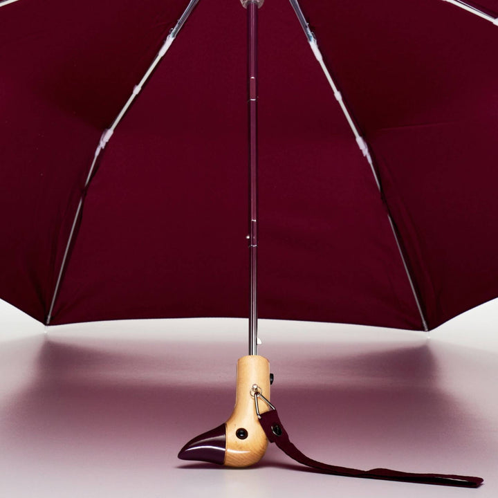 Duckhead Umbrella - Fall Colors
