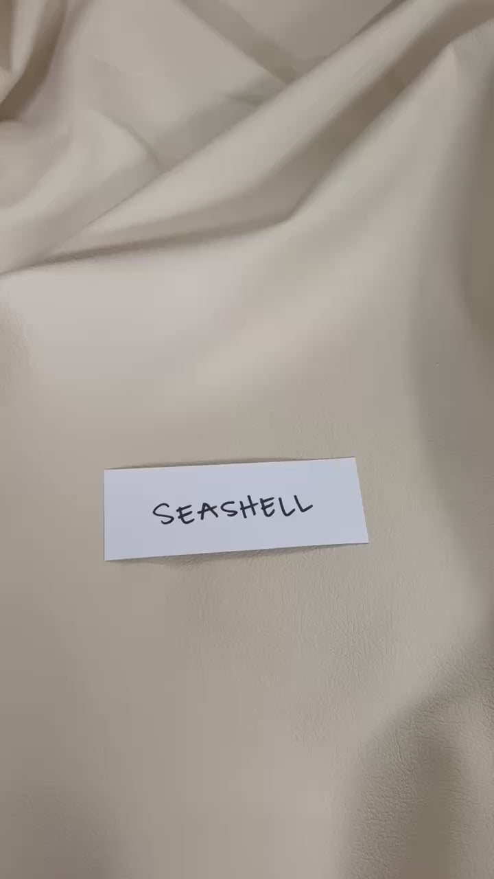 Seashell