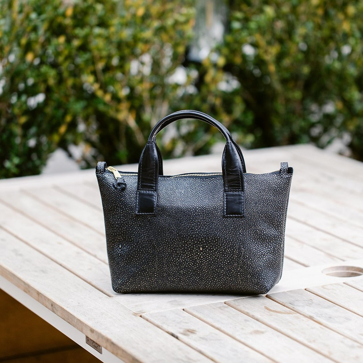 Monte Carlo – Satchel.