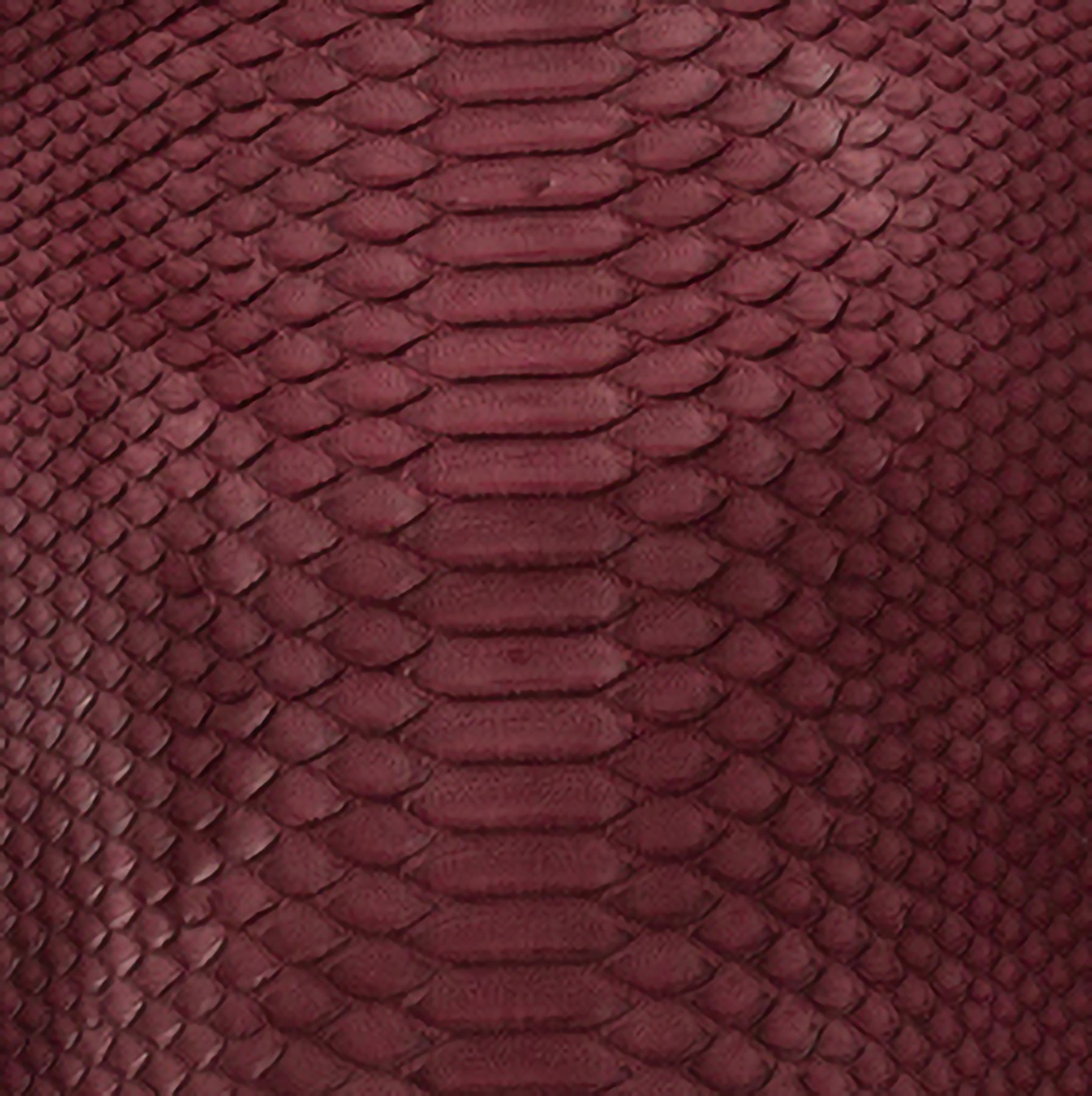 Red Python Leather Swatch Swatches – Satchel.